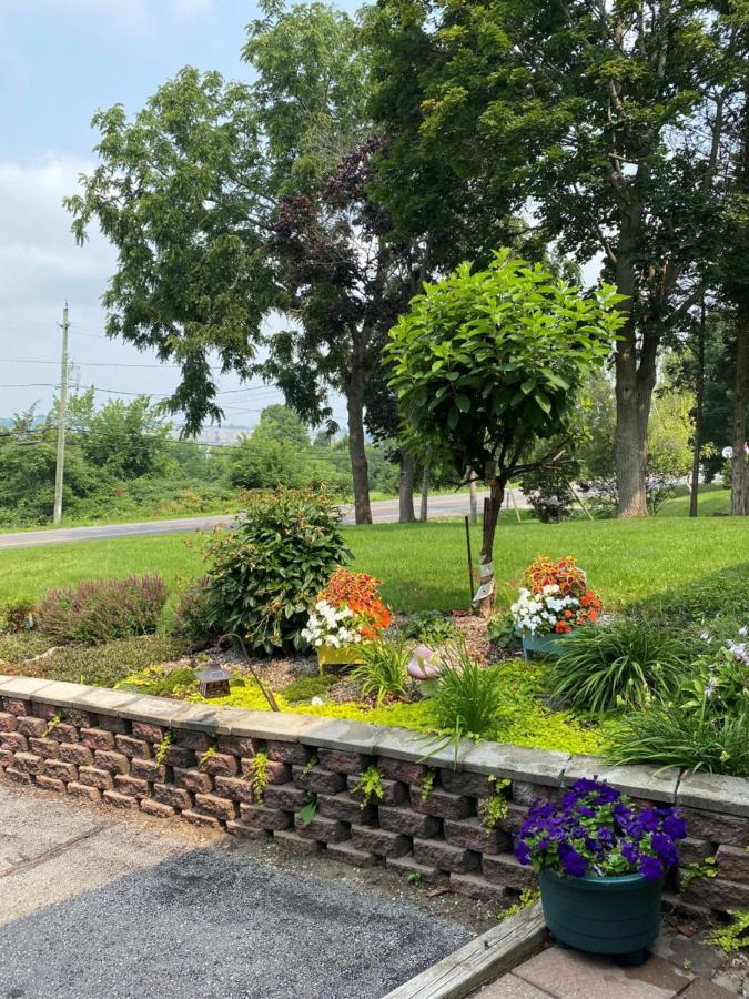 Lazy Dayz Vacation Rental Пиктон Экстерьер фото